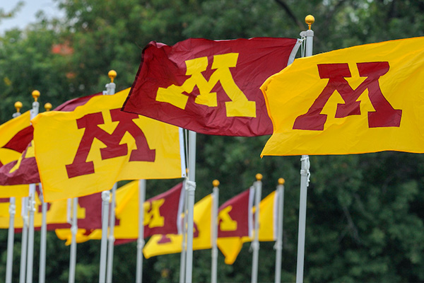 Gold and maroon university of minnesota flags