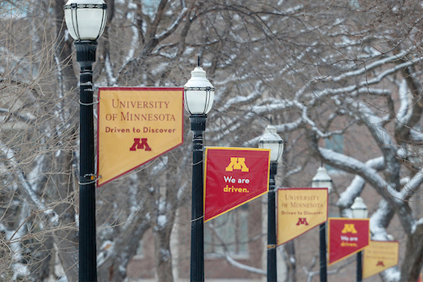 UMN we are driven flags on lamp posts in winter
