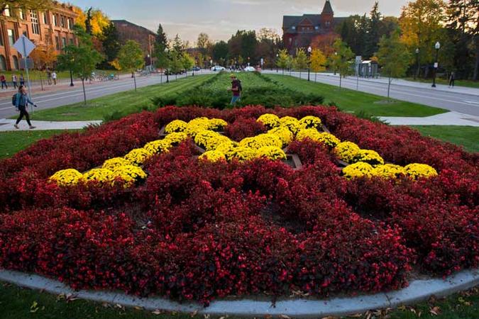 The University of Minnesota block M in gold flowers, surrounded in a circle of maroon flowers