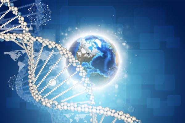human genes DNA model