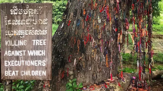A tree at the site of the infamous killing fields of Cambodia.